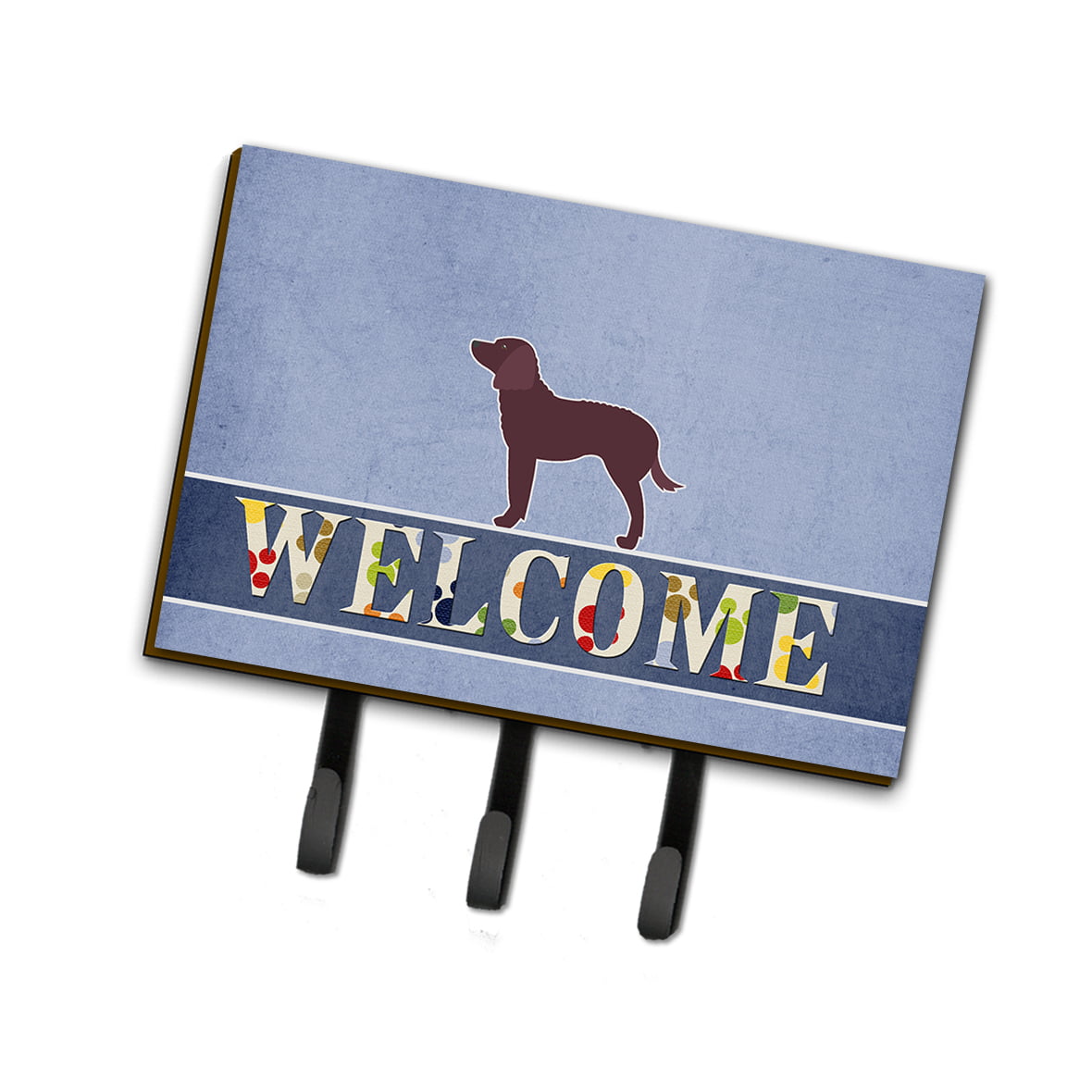 BB5505TH68 American Water Spaniel Welcome Leash or Key Holder