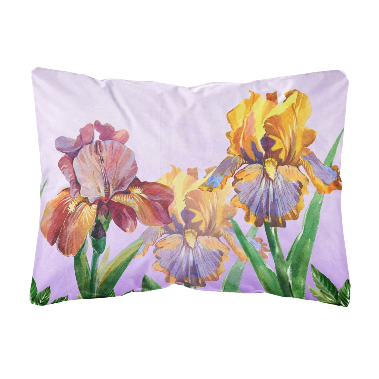 Purple & Yellow Iris Canvas Fabric Decorative Pillow