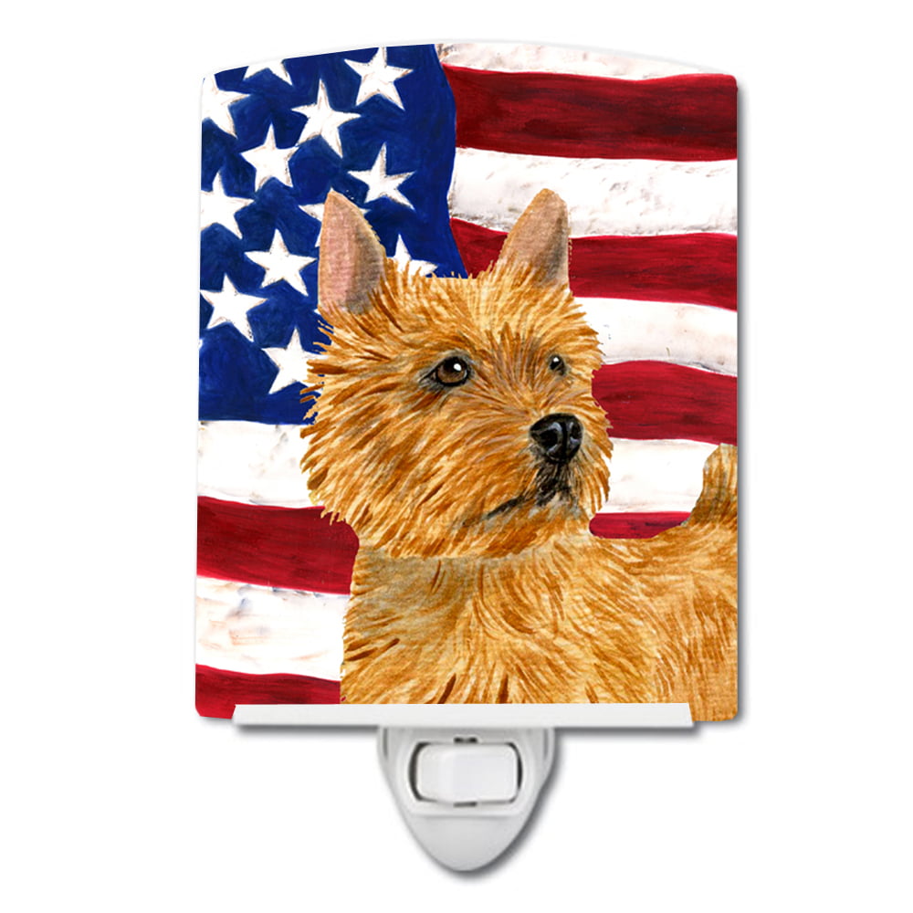 USA American Flag with Norwich Terrier Ceramic Night Light