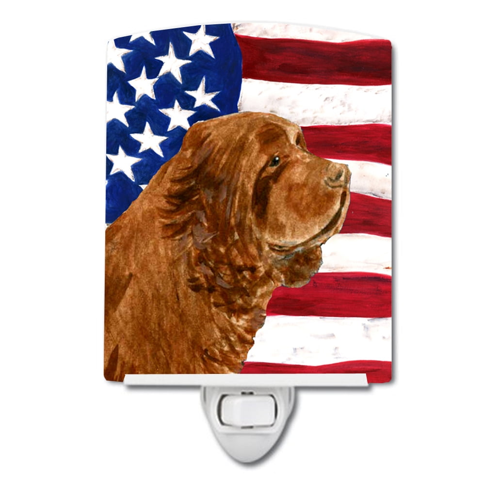 USA American Flag with Sussex Spaniel Ceramic Night Light