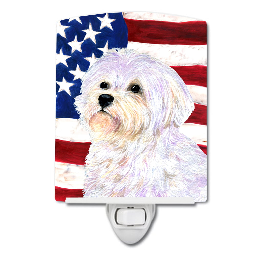 USA American Flag with Maltese Ceramic Night Light