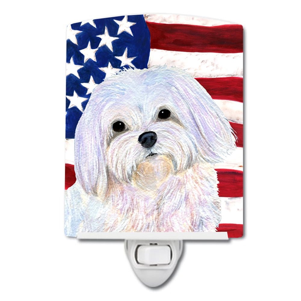 USA American Flag with Maltese Ceramic Night Light