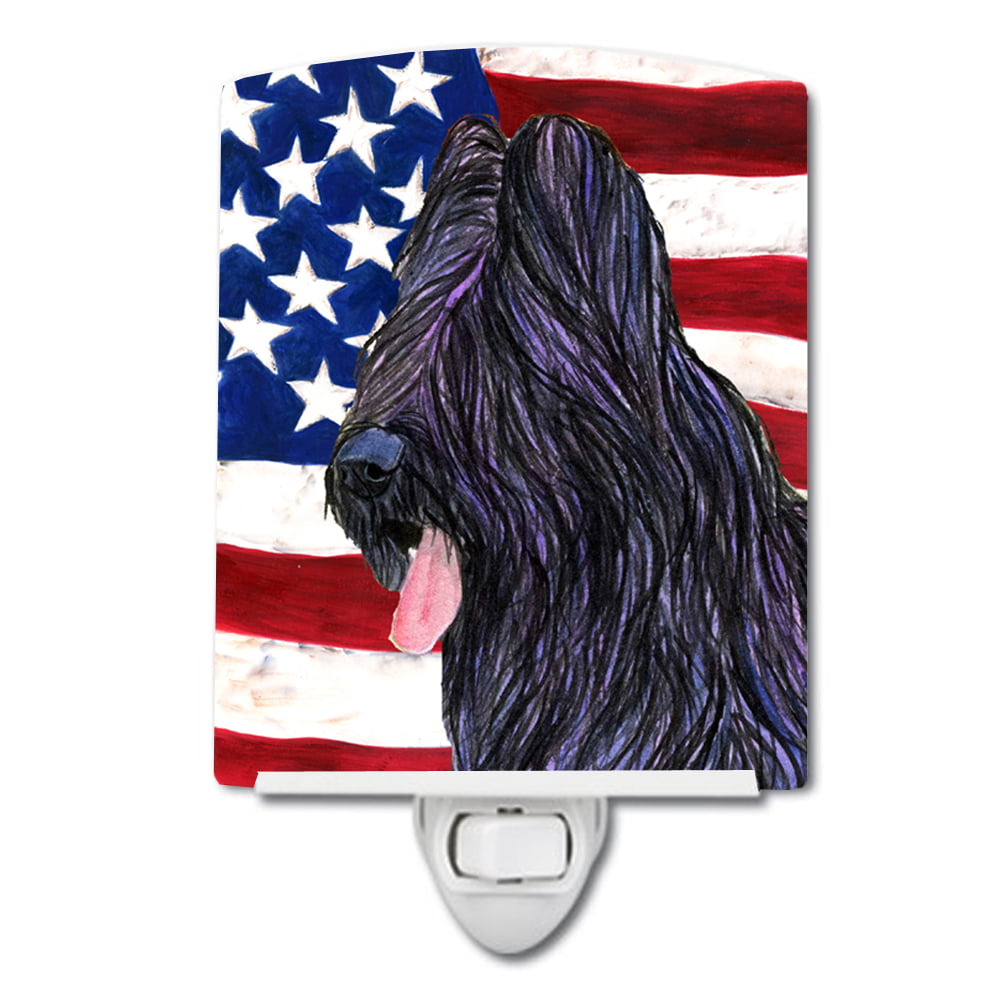 USA American Flag with Briard Ceramic Night Light
