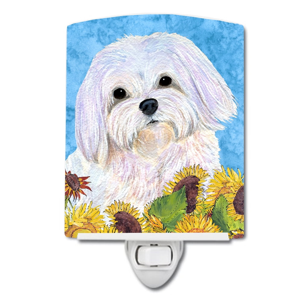 SS4115CNL Maltese in Summer Flowers Ceramic Night Light