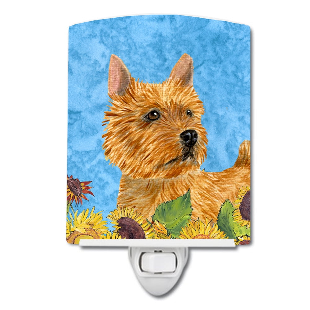 Norwich Terrier in Summer Flowers Ceramic Night Light