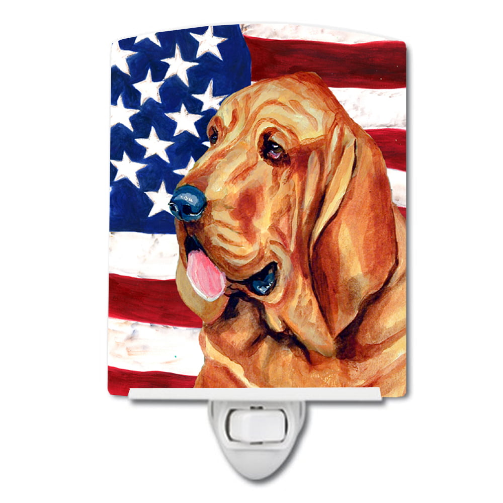 USA American Flag with Bloodhound Ceramic Night Light