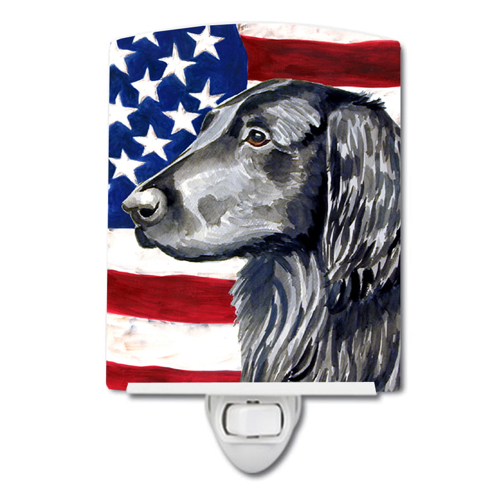 USA American Flag with Flat Coated Retriever Ceramic Night Light