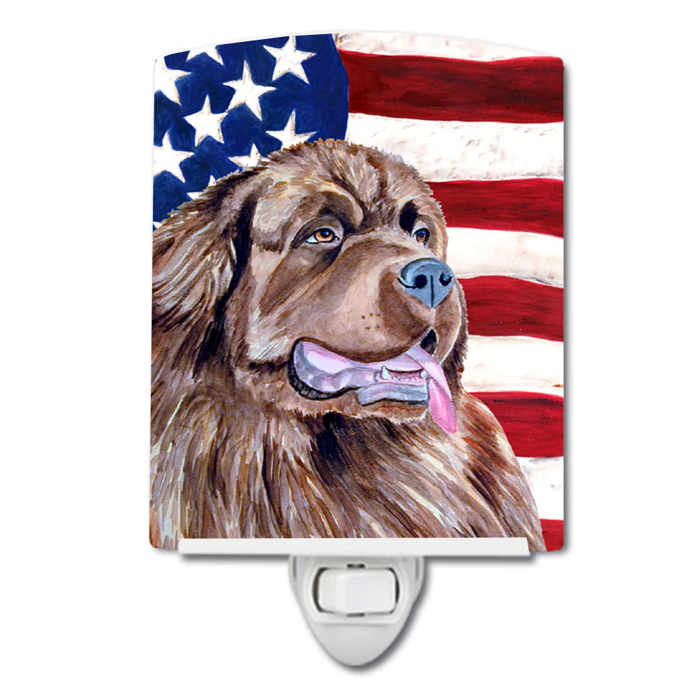 USA American Flag with Newfoundland Ceramic Night Light