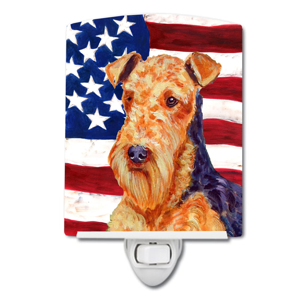 USA American Flag with Airedale Ceramic Night Light