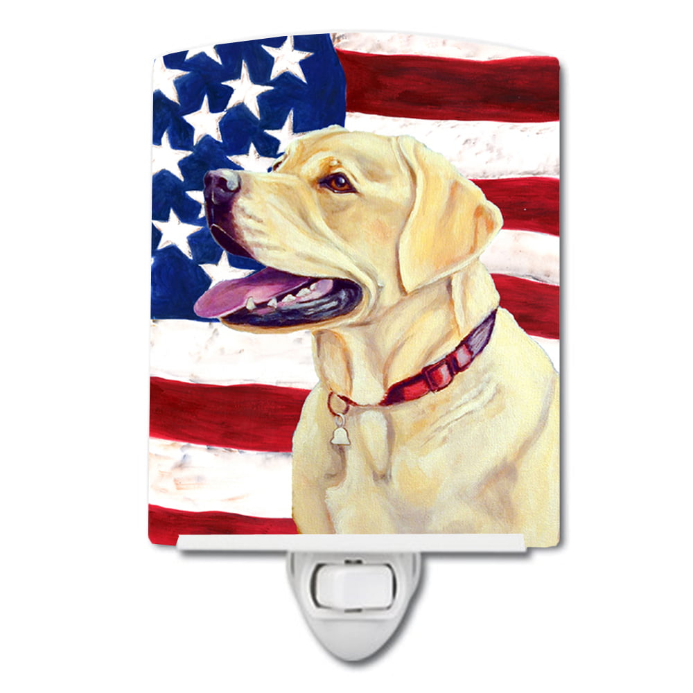 USA American Flag with Labrador Ceramic Night Light