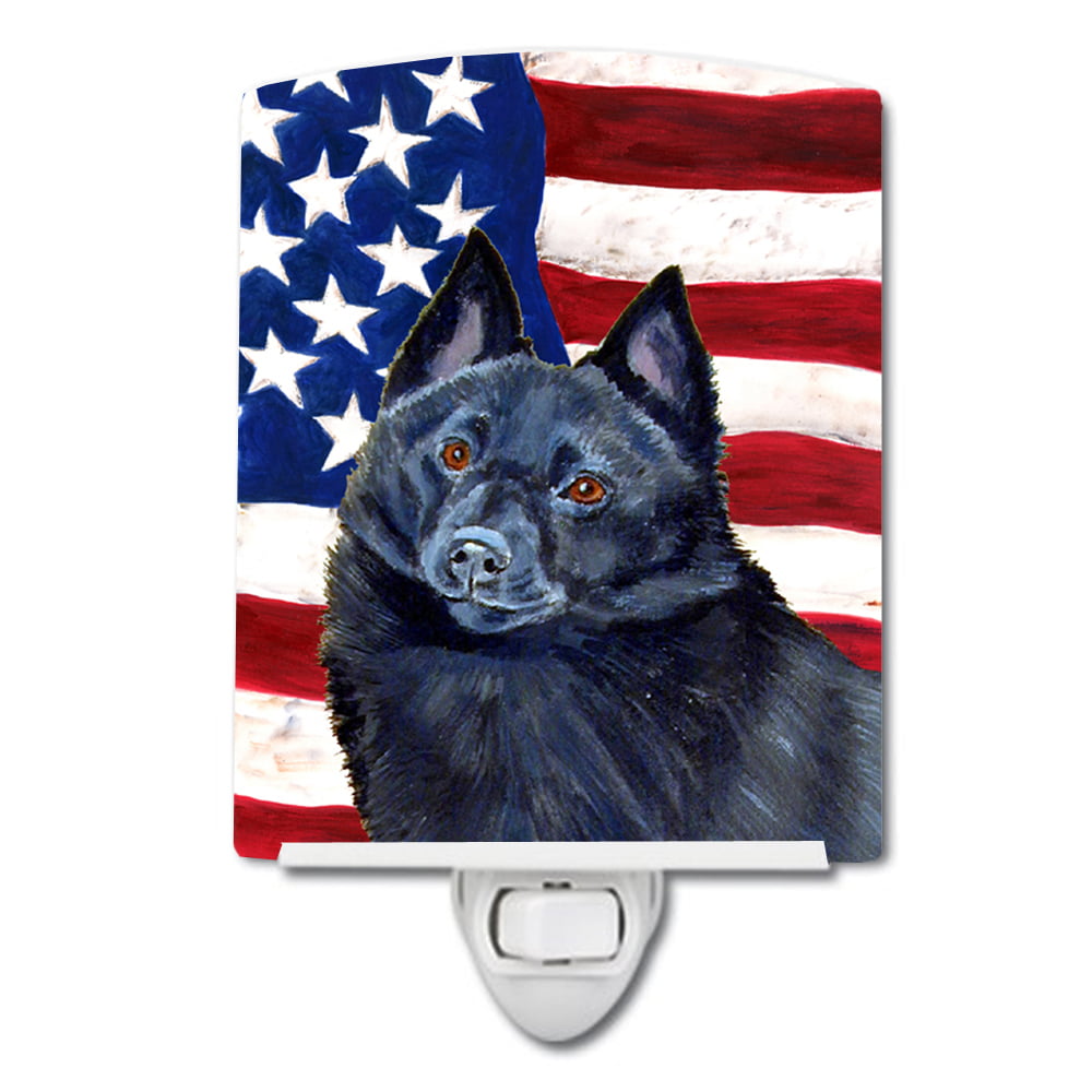 USA American Flag with Schipperke Ceramic Night Light
