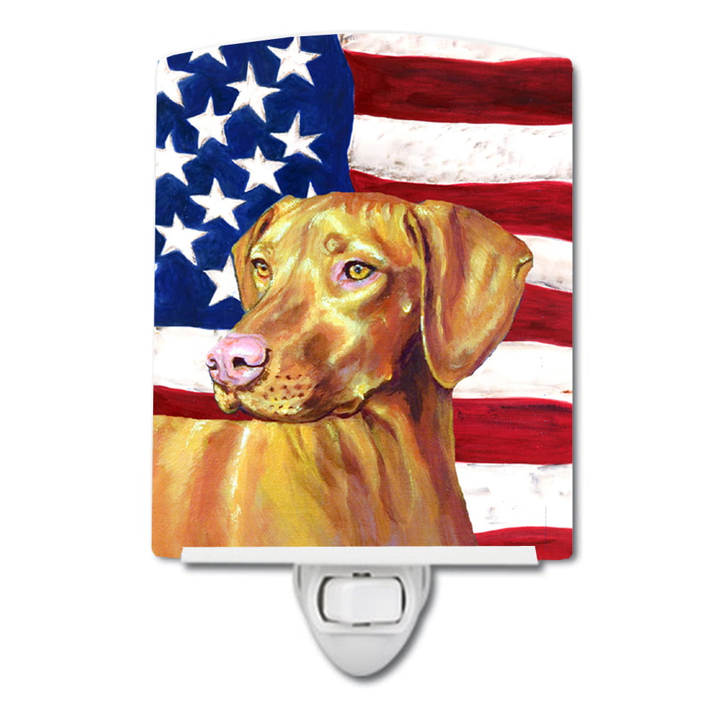 USA American Flag with Vizsla Ceramic Night Light
