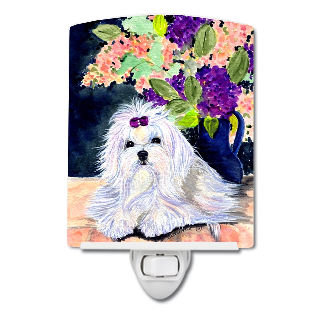 Maltese Ceramic Night Light