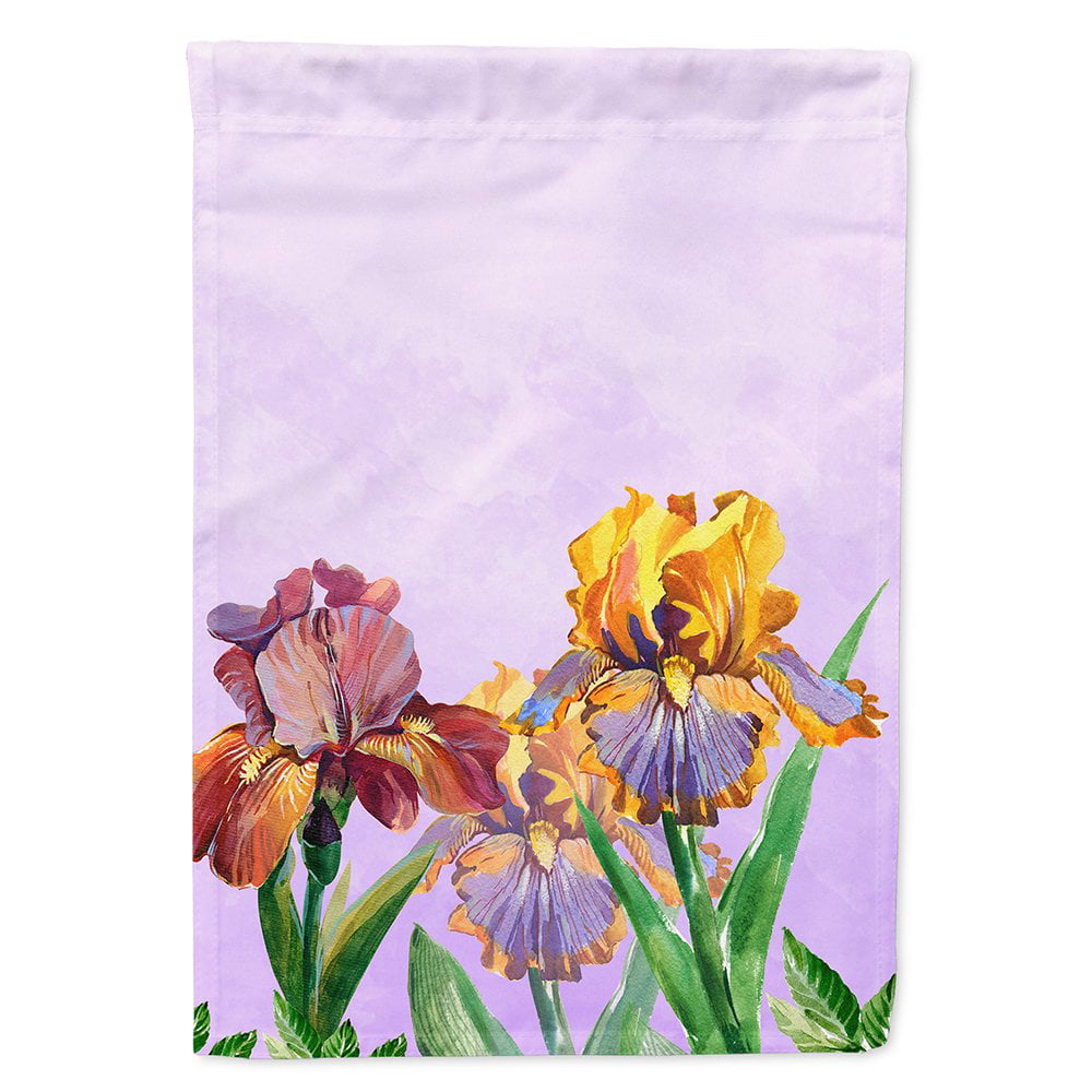 Purple & Yellow Iris Flag Canvas House Size
