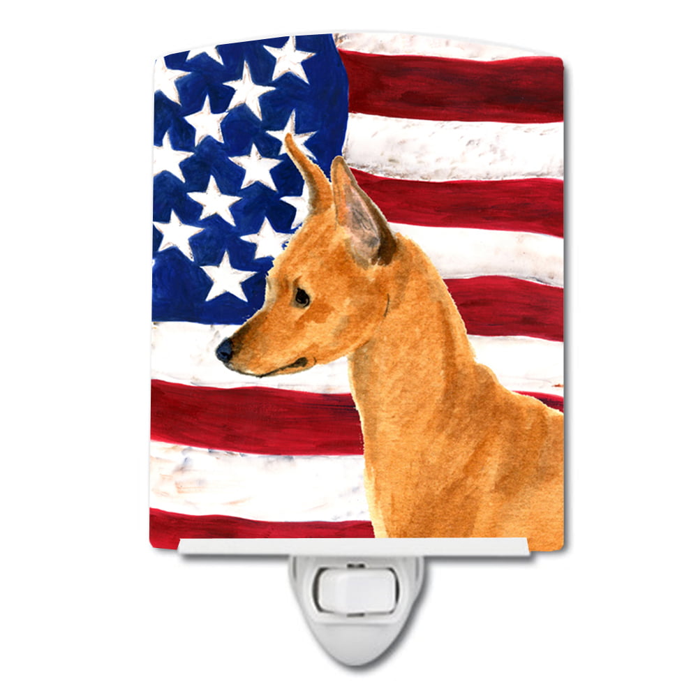 USA American Flag with Min Pin Ceramic Night Light