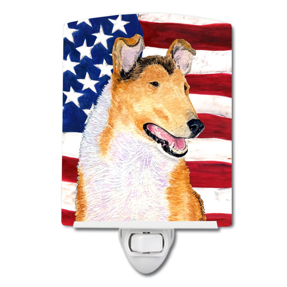 USA American Flag with Collie Smooth Ceramic Night Light