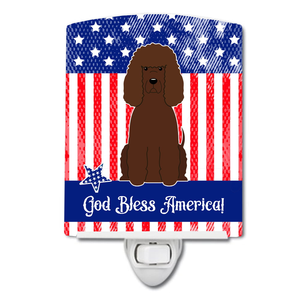 Patriotic USA Irish Water Spaniel Ceramic Night Light