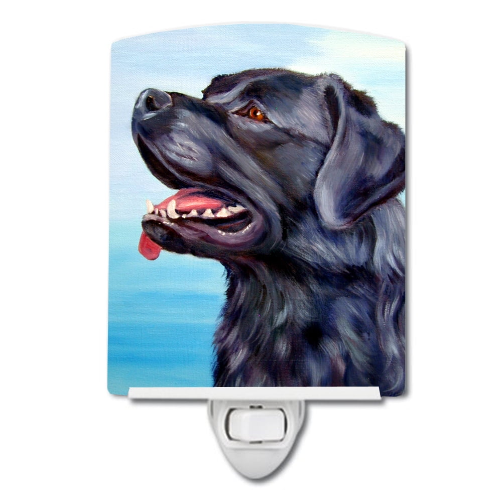 7389CNL Black Labrador Retriever Ceramic Night Light