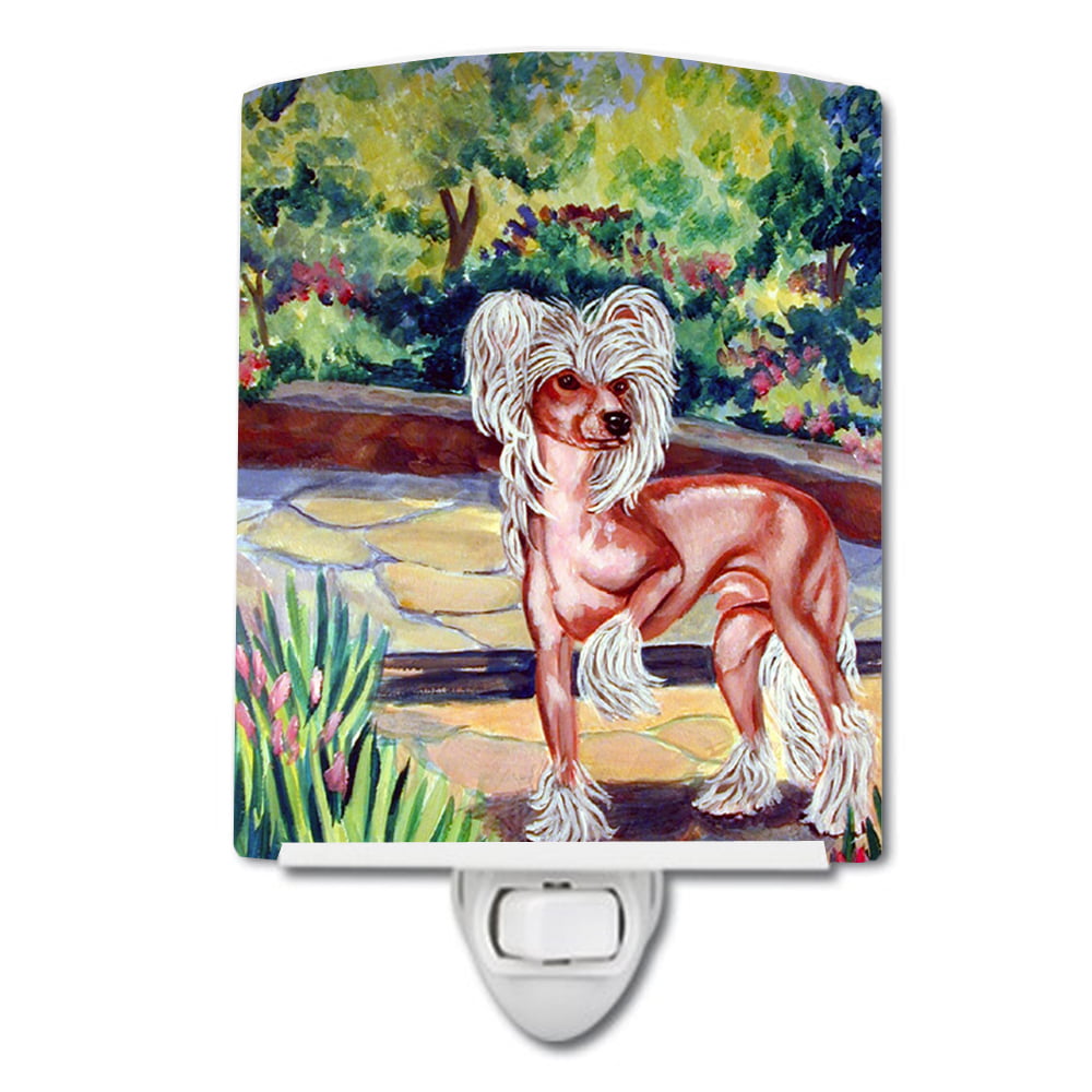 Picture of Carolines Treasures 7021CNL Chinese Crested on the Patio Ceramic Night Light