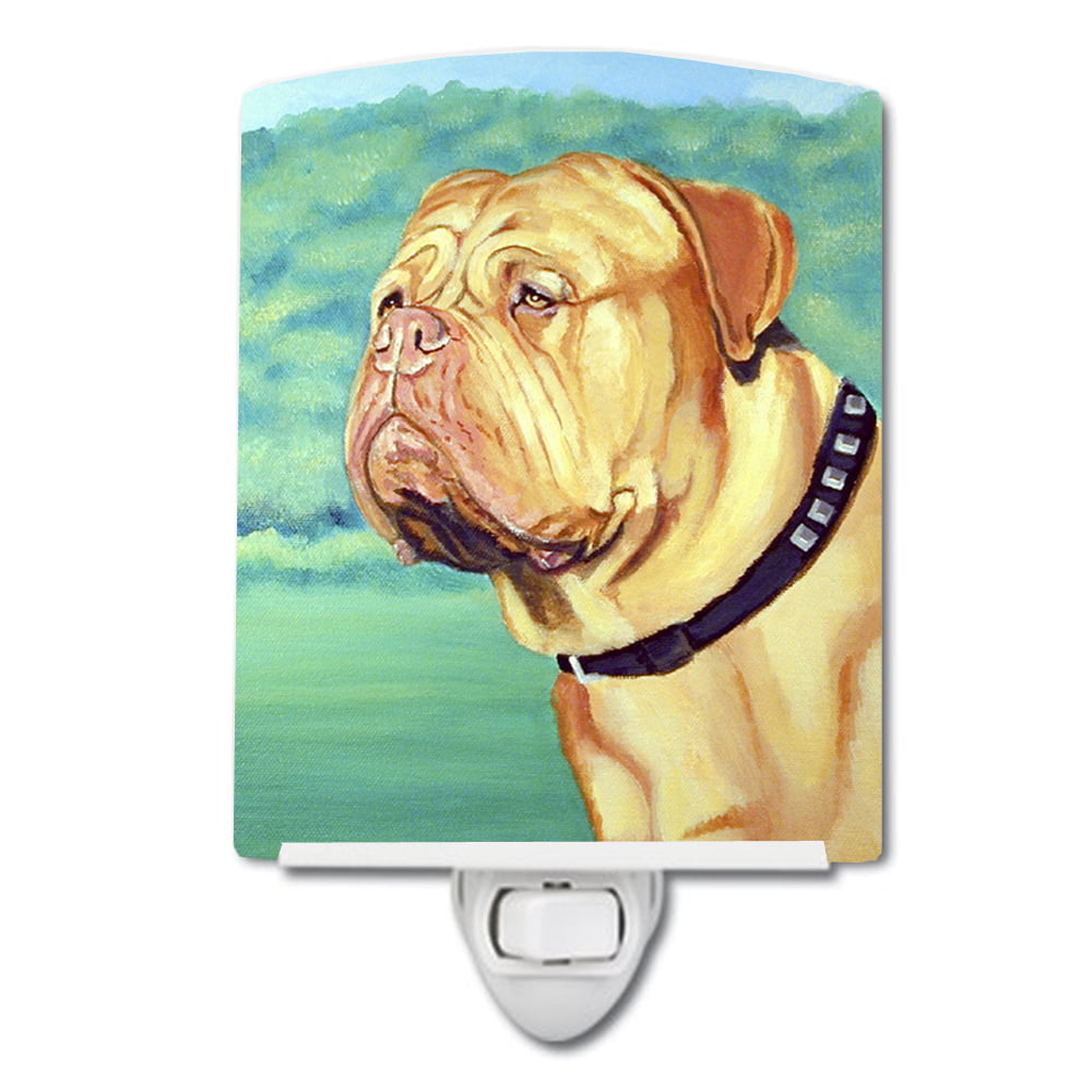 Picture of Carolines Treasures 7024CNL Dogue de Bordeaux Ceramic Night Light