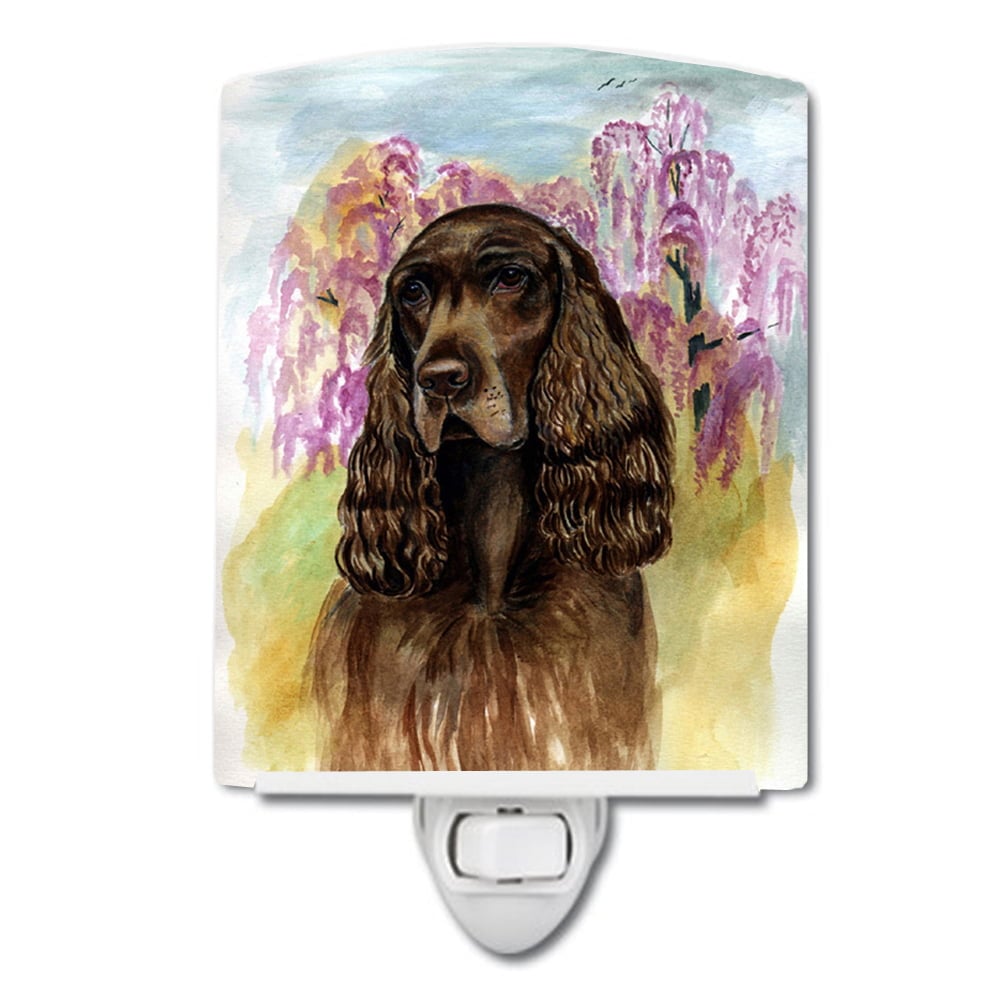 Picture of Carolines Treasures 7033CNL Field Spaniel Ceramic Night Light