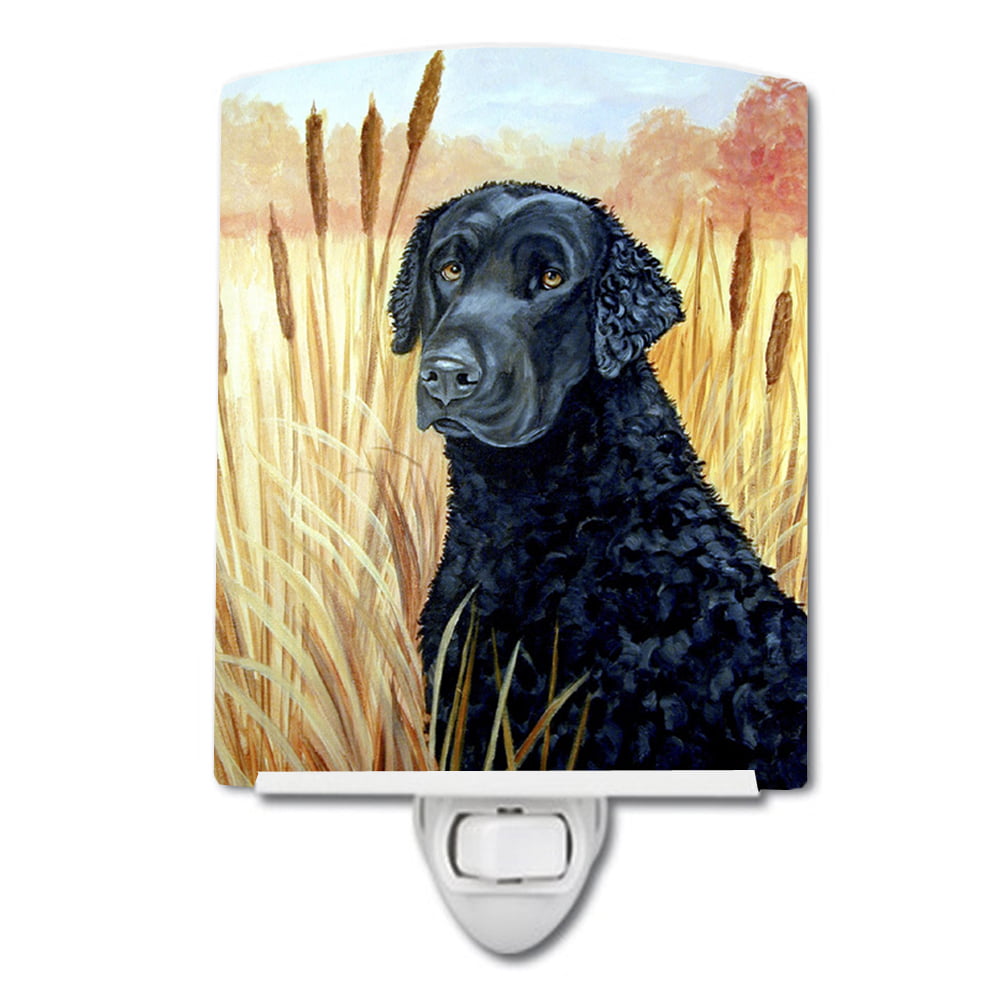 7097CNL Curly Coated Retriever Ceramic Night Light