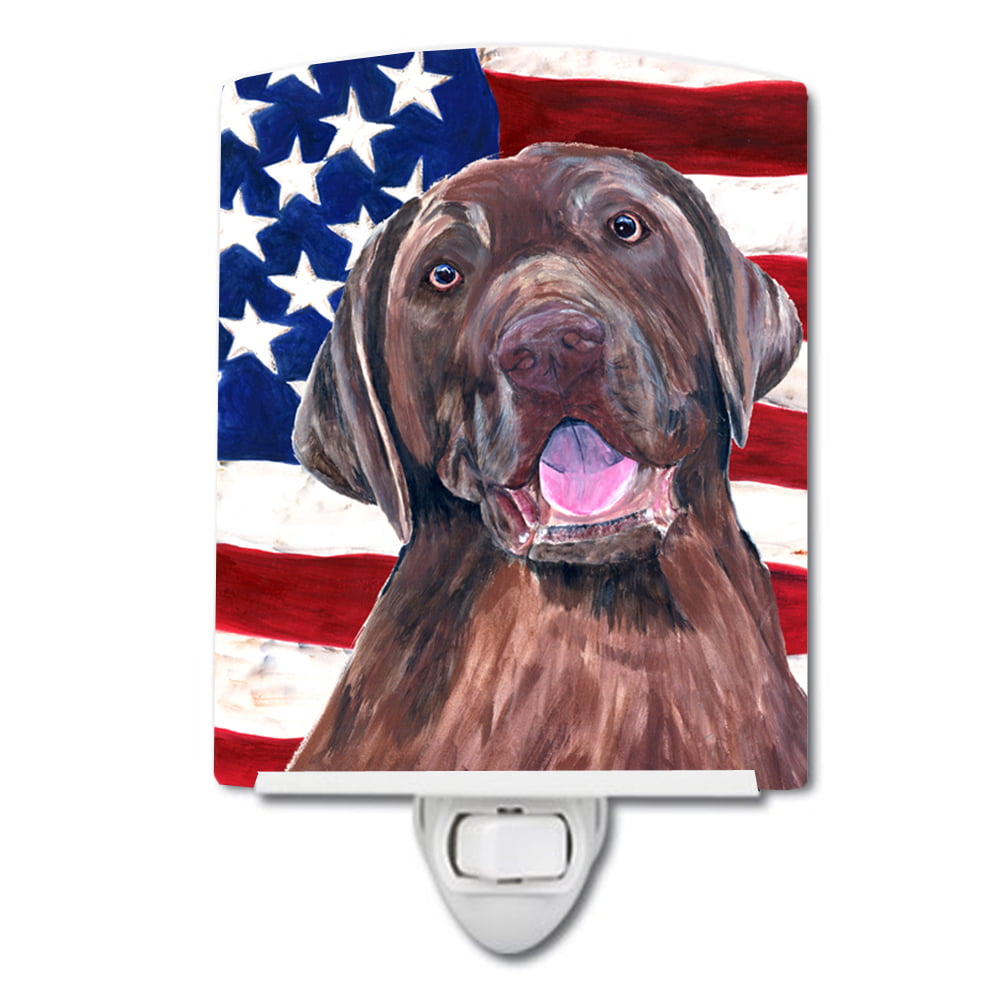 USA American Flag with Labrador Ceramic Night Light