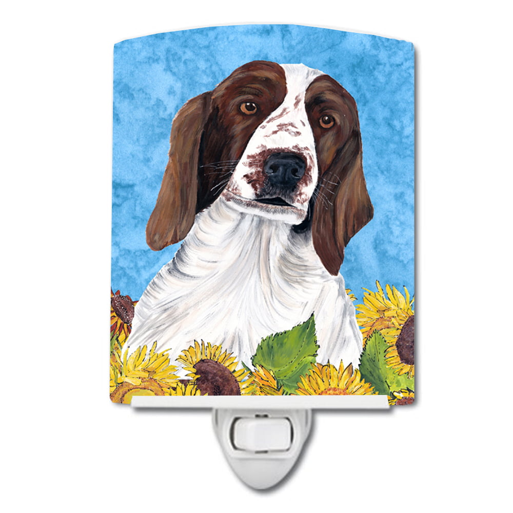 Welsh Springer Spaniel in Summer Flowers Ceramic Night Light