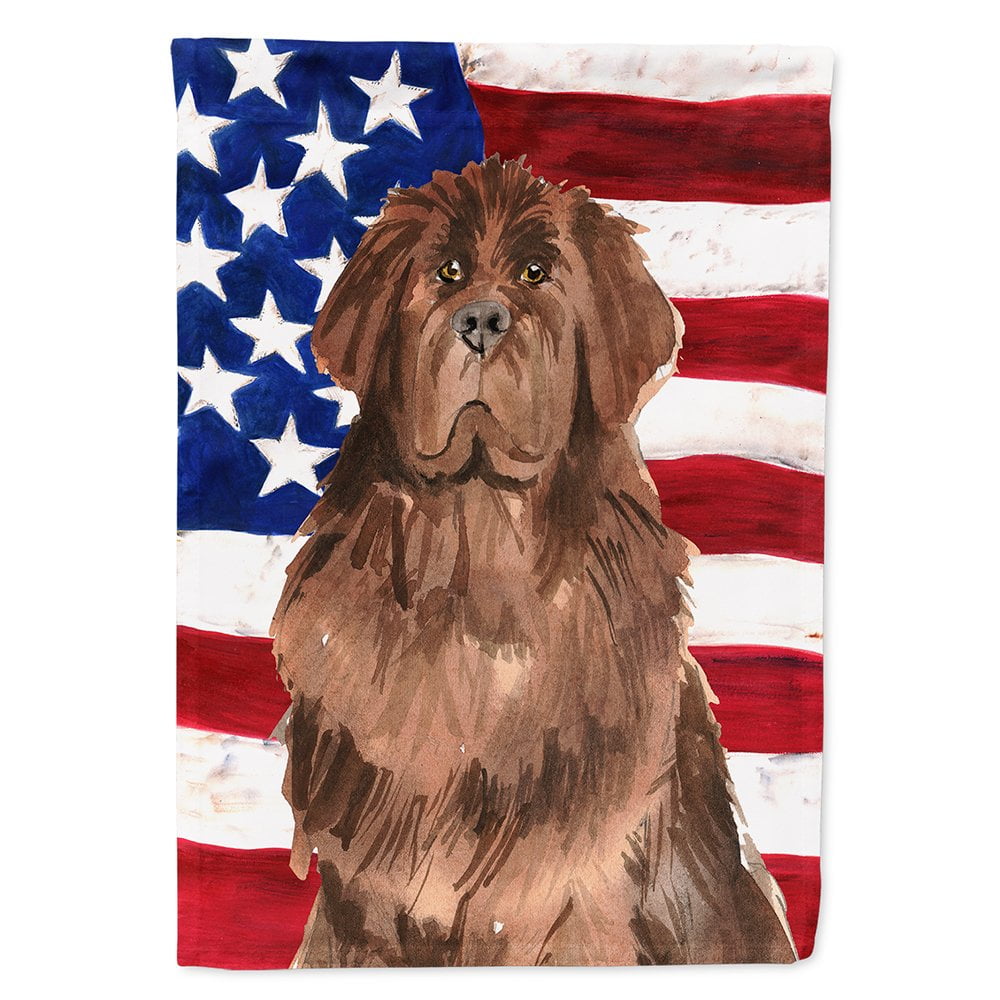 CK1721CHF Patriotic USA Newfoundland Flag Canvas House Size