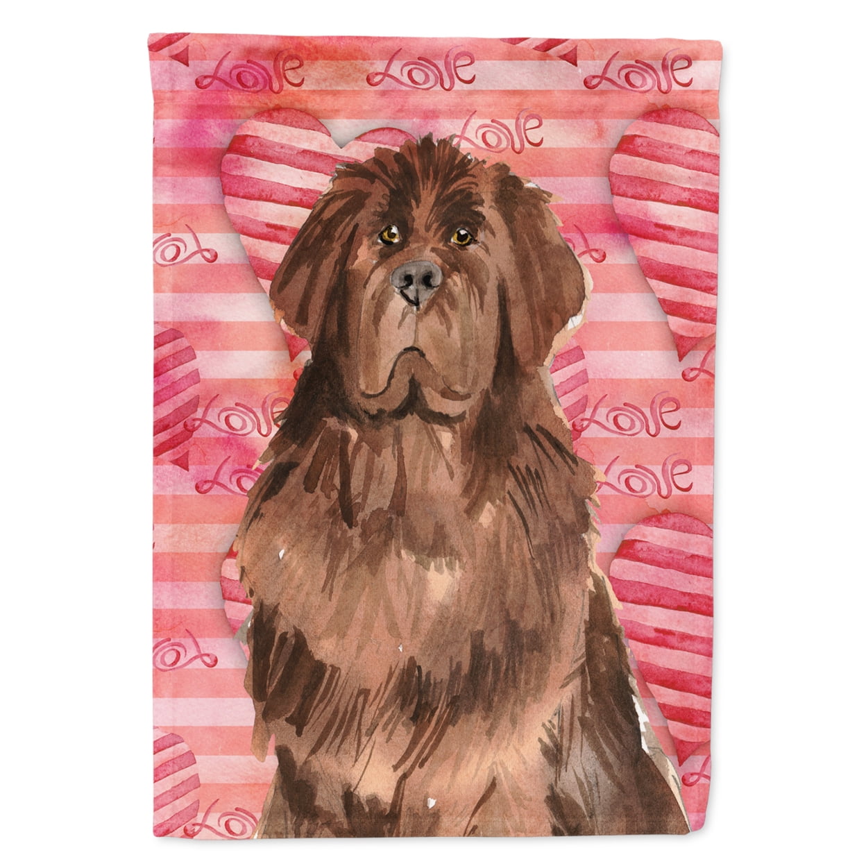 Love a Newfoundland Flag Canvas House Size