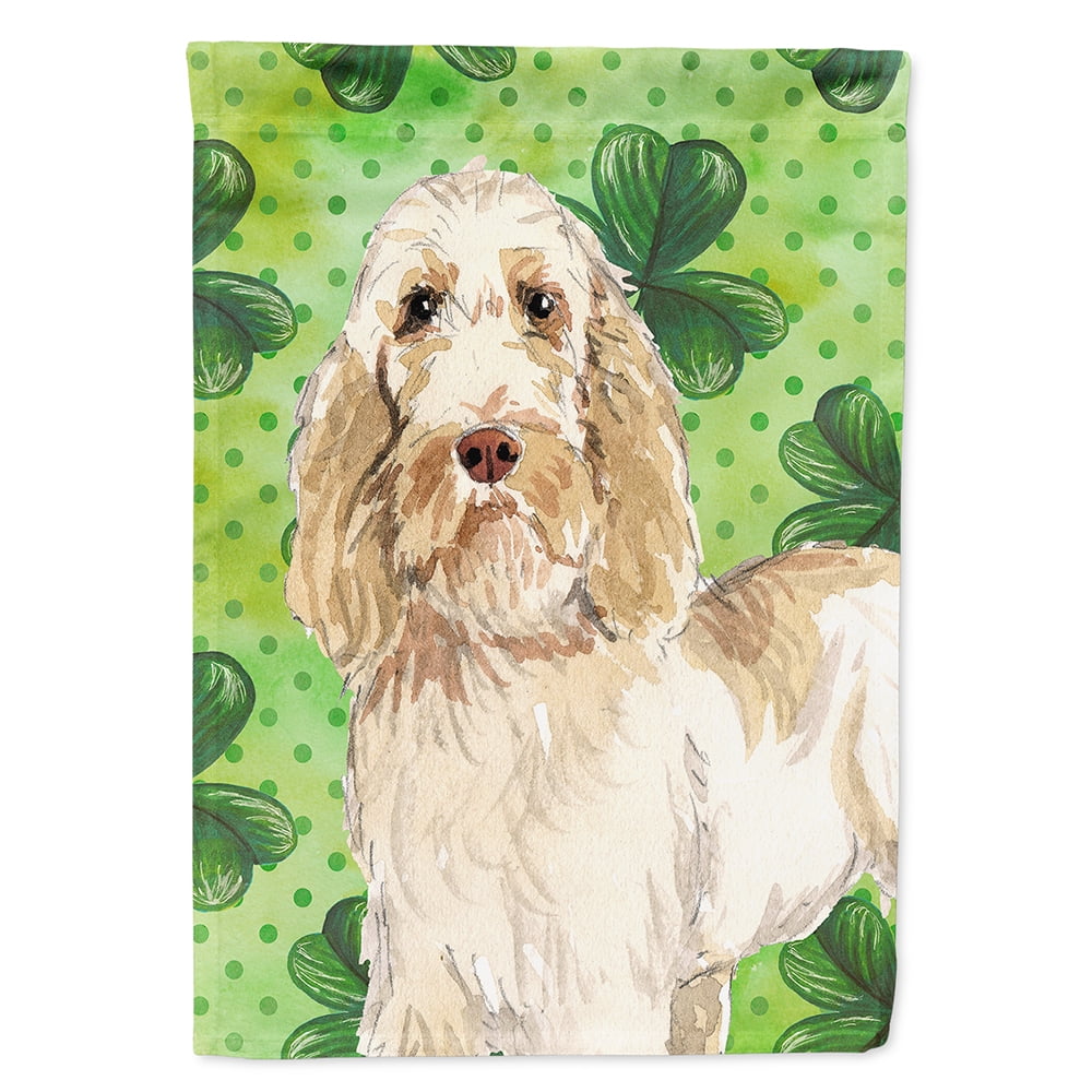 Shamrocks Spinone Italiano Flag Canvas House Size