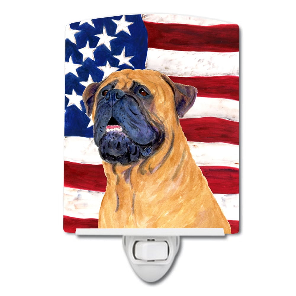 USA American Flag with Bullmastiff Ceramic Night Light