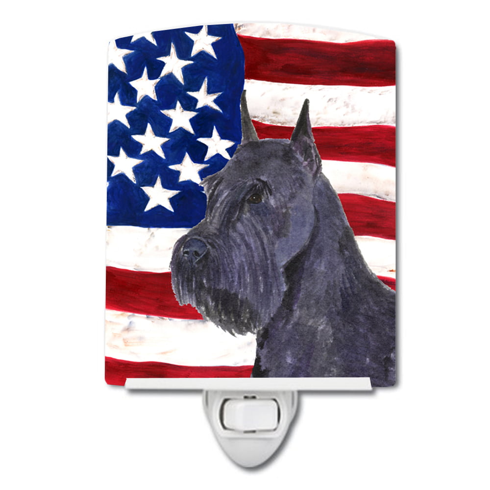 USA American Flag with Schnauzer Ceramic Night Light