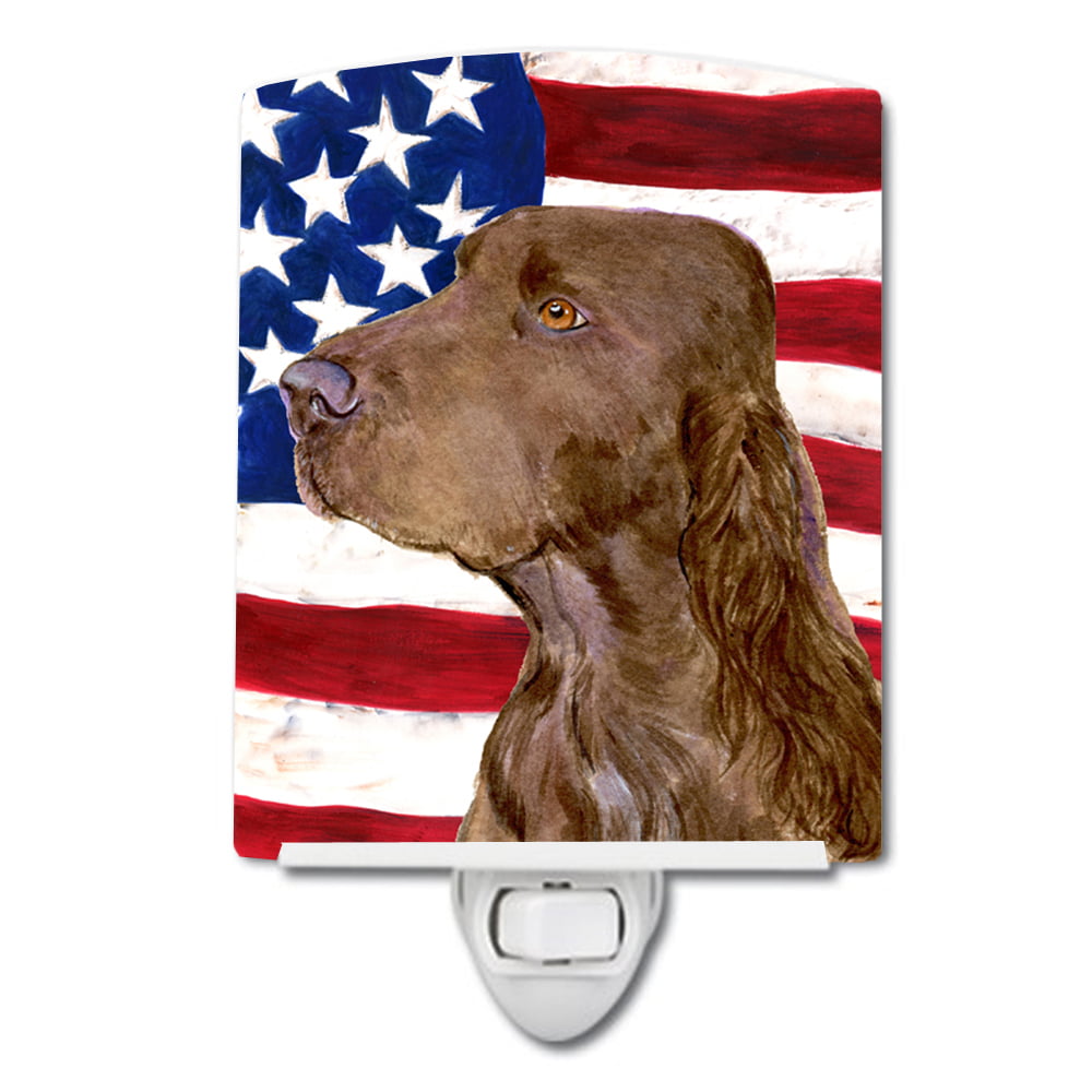 USA American Flag with Field Spaniel Ceramic Night Light