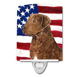 USA American Flag with Curly Coated Retriever Ceramic Night Light