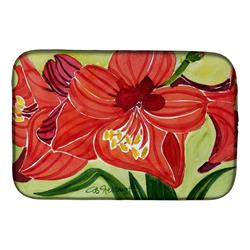 Picture of Carolines Treasures 6055DDM Flower - Amaryllis Dish Drying Mat