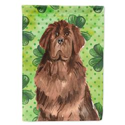 Shamrocks Newfoundland Garden Size Flag