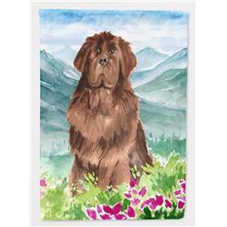 Mountain Flowers Newfoundland Flag Canvas House Size