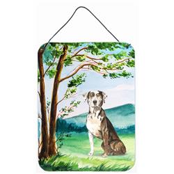 Under the Tree Catahoula Leopard Dog Wall or Door Hanging Prints