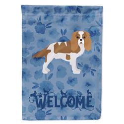 11 x 0.01 x 15 in. Blenheim Cavalier Spaniel Welcome Flag Garden Size
