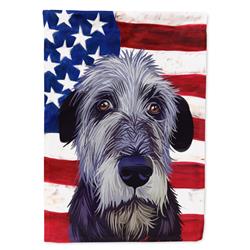 Irish Wolfhound American Canvas House Flag - 28 x 0.01 x 40 in.