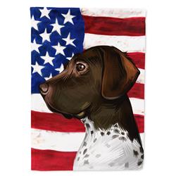Old Danish Pointer Dog American Garden Flag - 11 x 0.01 x 15 in.