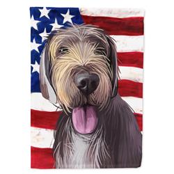 Slovak Rough-Haired Pointer American Garden Flag - 11 x 0.01 x 15 in.