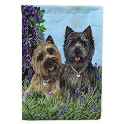 11 x 0.01 x 15 in. Cairn Terrier Donation Garden Flag