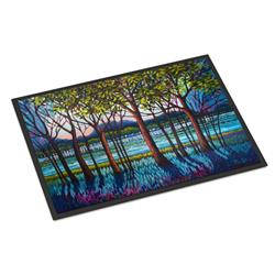 18 x 27 in. Tanzanite River Indoor or Outdoor Mat