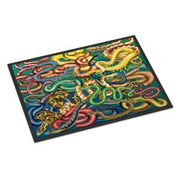 18 x 27 in. Snakes Indoor or Outdoor Mat