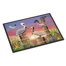 18 x 27 in. Pelicans Indoor or Outdoor Mat