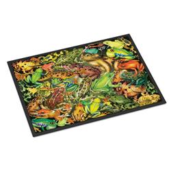 18 x 27 in. Frogs Indoor or Outdoor Mat