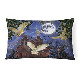 12 x 3 x 16 in. Halloween Owl Express Canvas Fabric Decorative Pillow