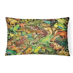 12 x 3 x 16 in. Frogs Canvas Fabric Decorative Pillow